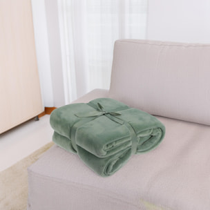 Well Home Manta Polar Coral de 250 GSM, 100% Poliéster Color Verde Claro