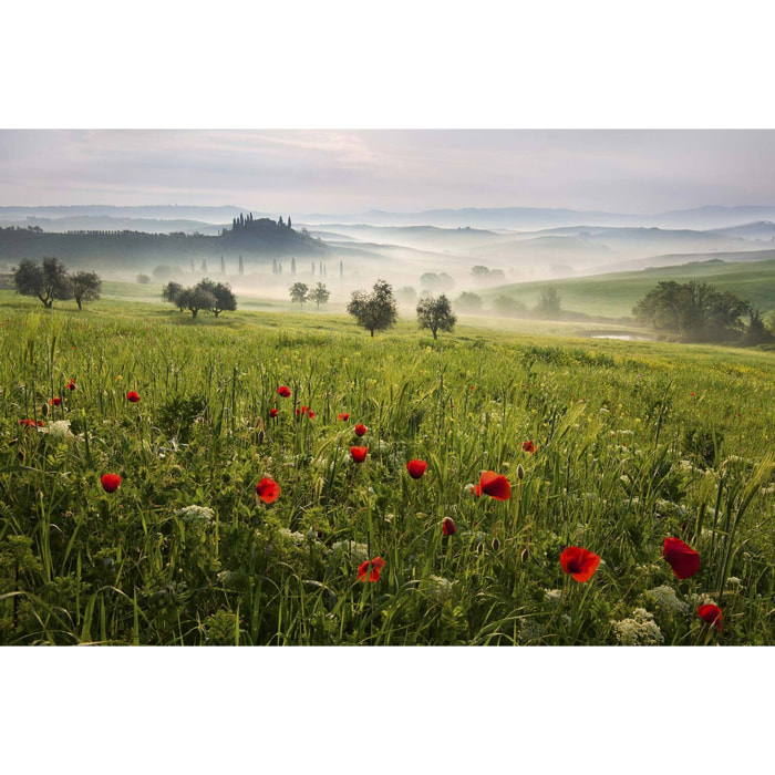 Tableau nature printemps toscan  Toile imprimée