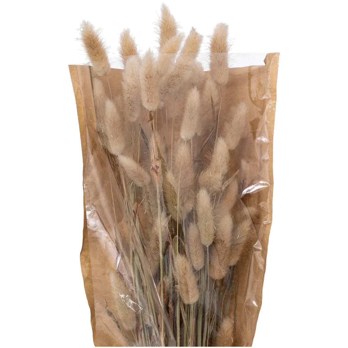 Bouquet fleurs séchées "Ori" blanc ivoire H58cm