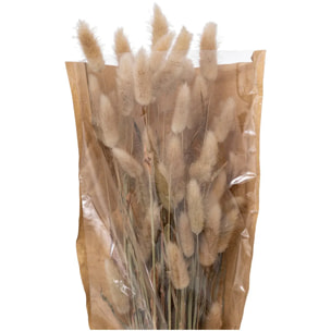 Bouquet fleurs séchées "Ori" blanc ivoire H58cm