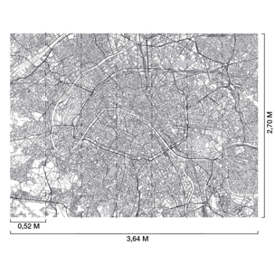 Papier peint plan de la ville de Paris Intissé