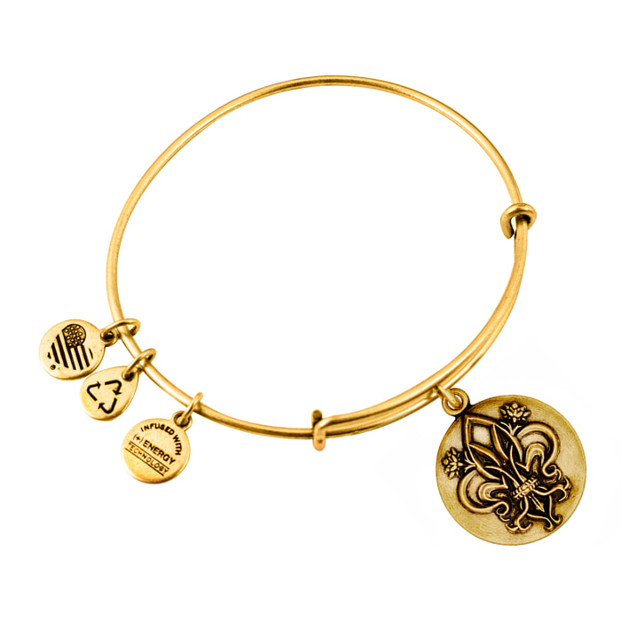 Pulsera Alex And Ani Mujer A16EBFDLRG