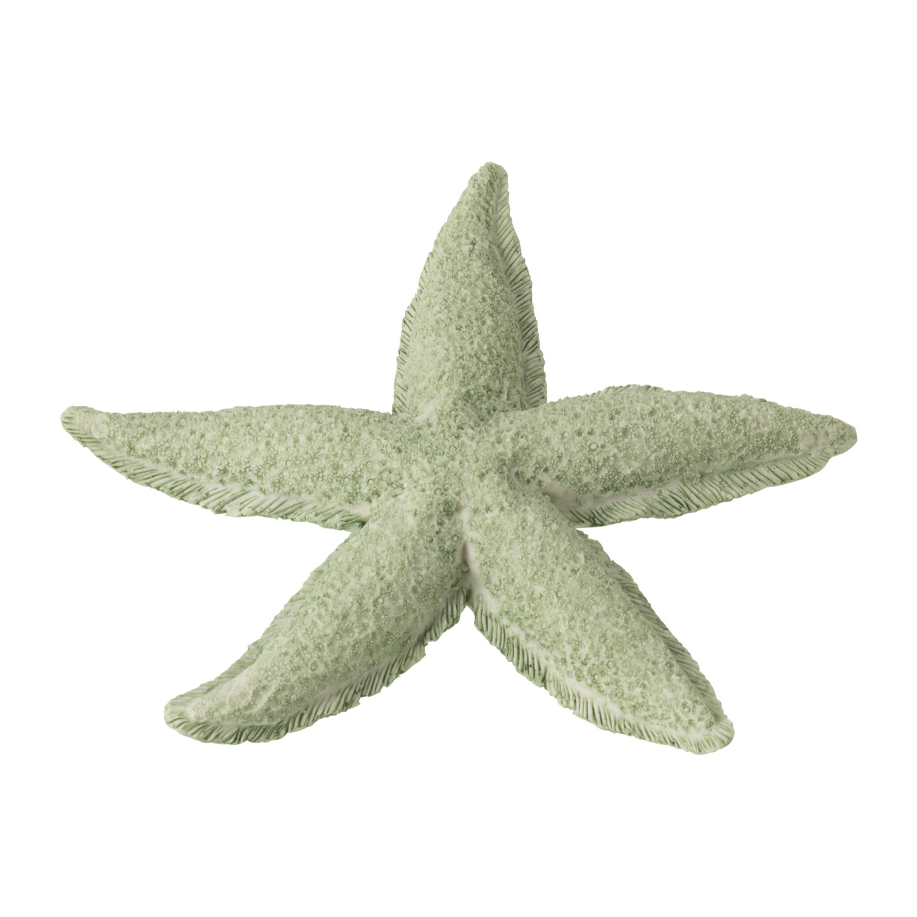 J-Line Étoile de Mer décorative - polyrésine - vert menthe - small - 2 pièces