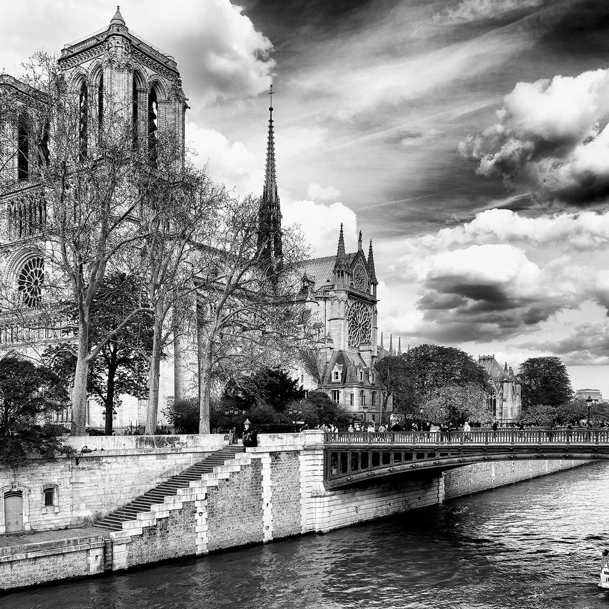 Tableau notre dame de paris Toile imprimée