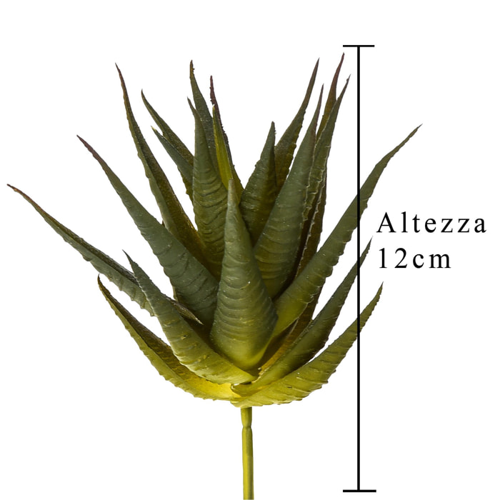 Echeveria Cactus. Altezza 12 Cm - Pezzi 12 - 10X12X8cm - Colore: Verde - Bianchi Dino - Piante Artificiali