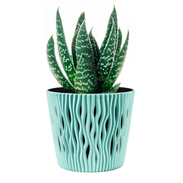 3x maceta redonda de plastico sandy round en color salvia 15,8 (largo) x 15,8 (ancho) x 13,8 (alto) cm