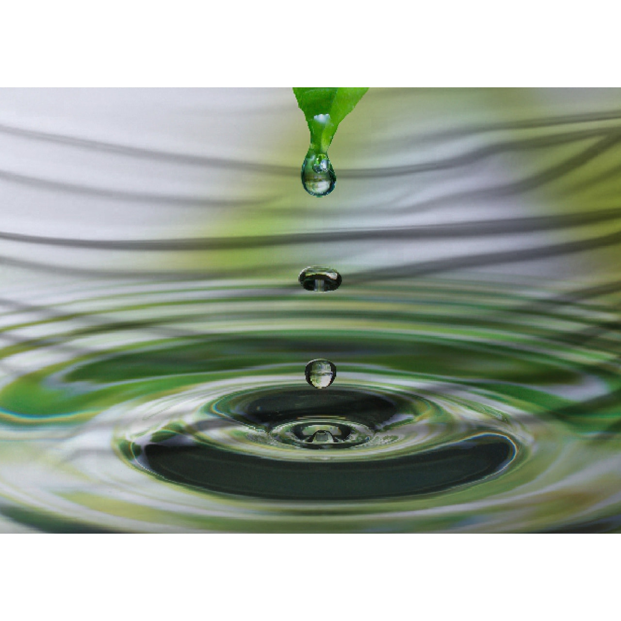 Parure Lenzuola Copriletto Digitale Disegno Green Zen Misura Letto Matrimoniale