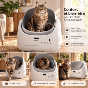 CATBOT K12i ULTRA IA