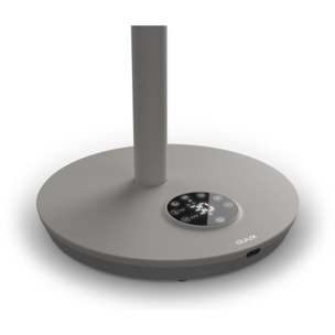 Ventilateur DUUX DXCF87