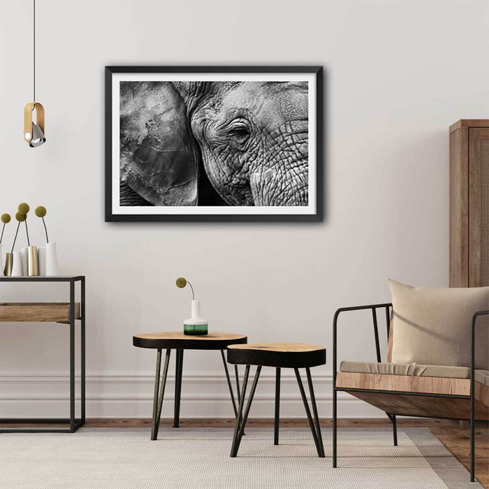 Affiche animaux Peau d'éléphant Affiche sous cadre noir