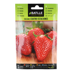 Semillas de Fresones 4 estaciones Batlle