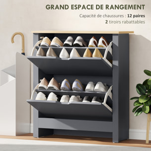 Armoire à chaussures 2 portes abattantes 2 compartiments anthracite naturel