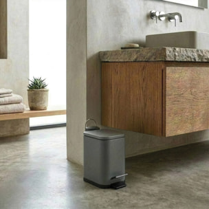 Poubelle à pédale Inox ERIK 5L Gris mat Spirella