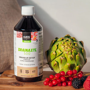 STC NUTRITION - Drainaxyl® 500 - Draineur Detox aux extraits de plantes - Formule ultra concentrée - Cure de 15 j - Fruits Rouges - 500 ml - Fruits rouges