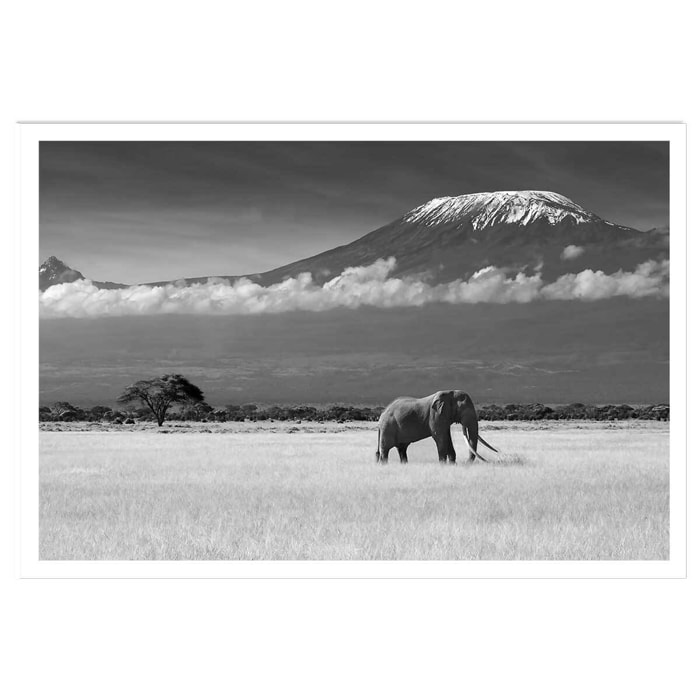 Affiche éléphant et Kilimanjaro Affiche seule