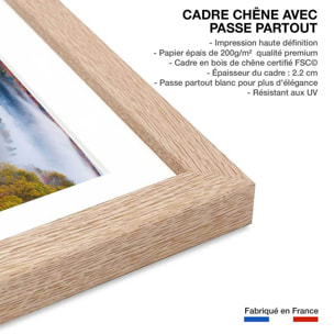 Affiche forêt et symphonie d'automne Affiche + cadre en bois - Chêne
