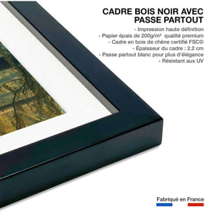 Affiche sous-bois en octobre Affiche + cadre en bois - Noir