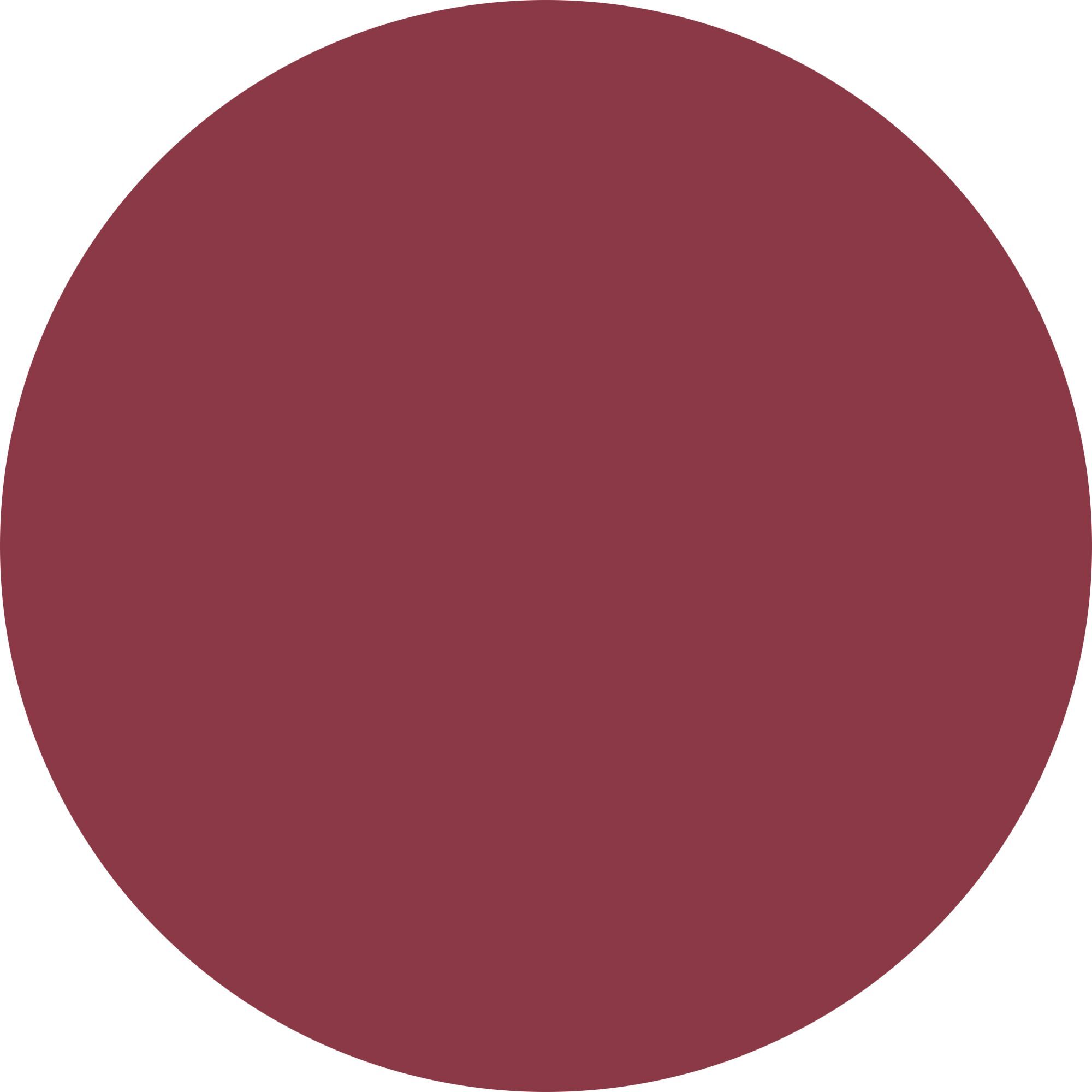 BRIGHT STAIN – LIP TINT Tinta labbra dal finish luminoso