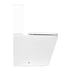 Project cuvette WC à poser sans bride en céramique (réservoir non fourni), blanc (SATPRO31M)