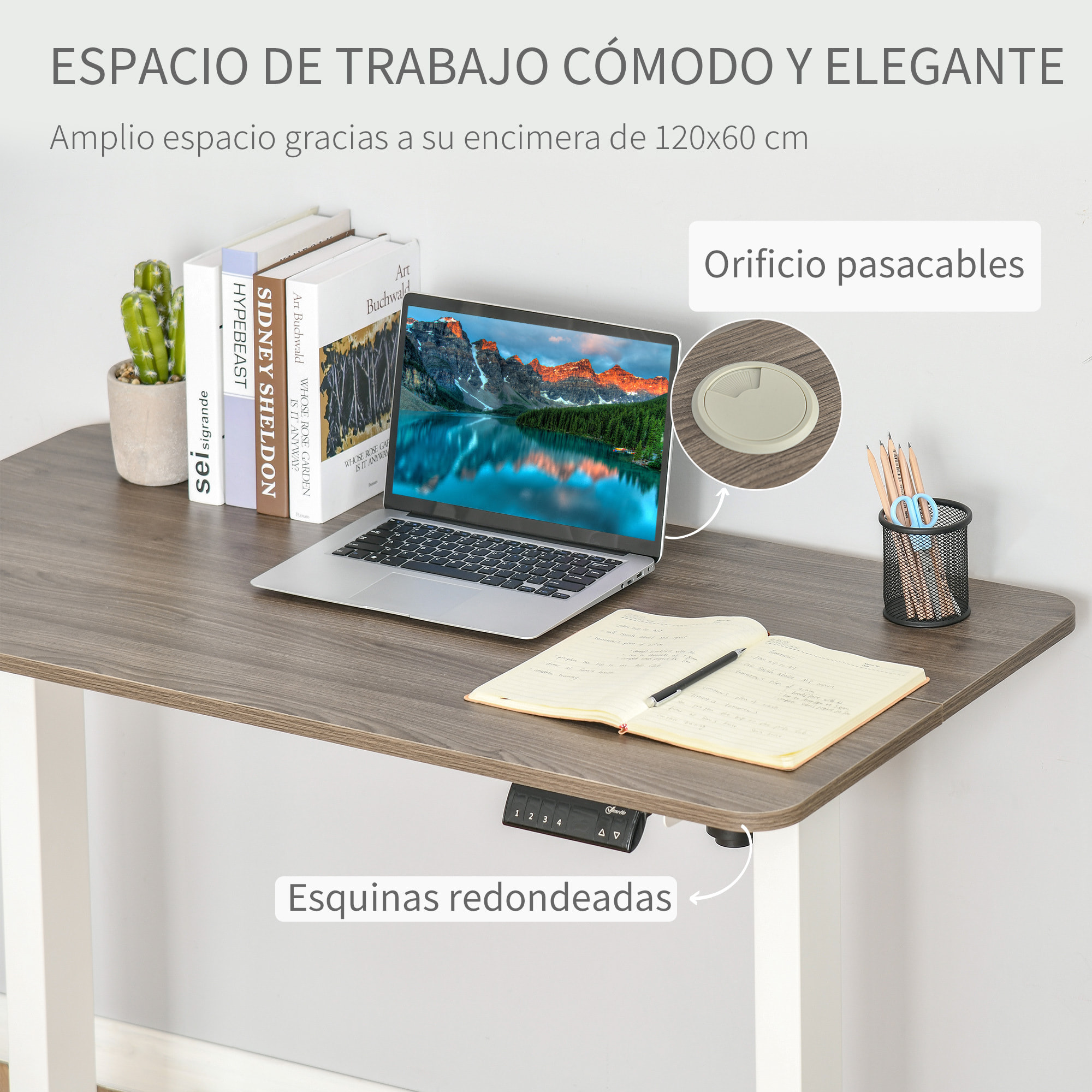 Vinsetto Escritorio Eléctrico de Pie Macro de Escritorio de Altura Ajustable con 4 Teclas de Memoria Automática Inteligente para Oficina Casa 120x60x72-116 cm Blanco