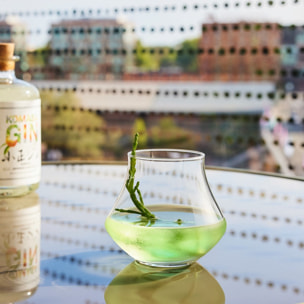 6 verres à spiritueux 30cl