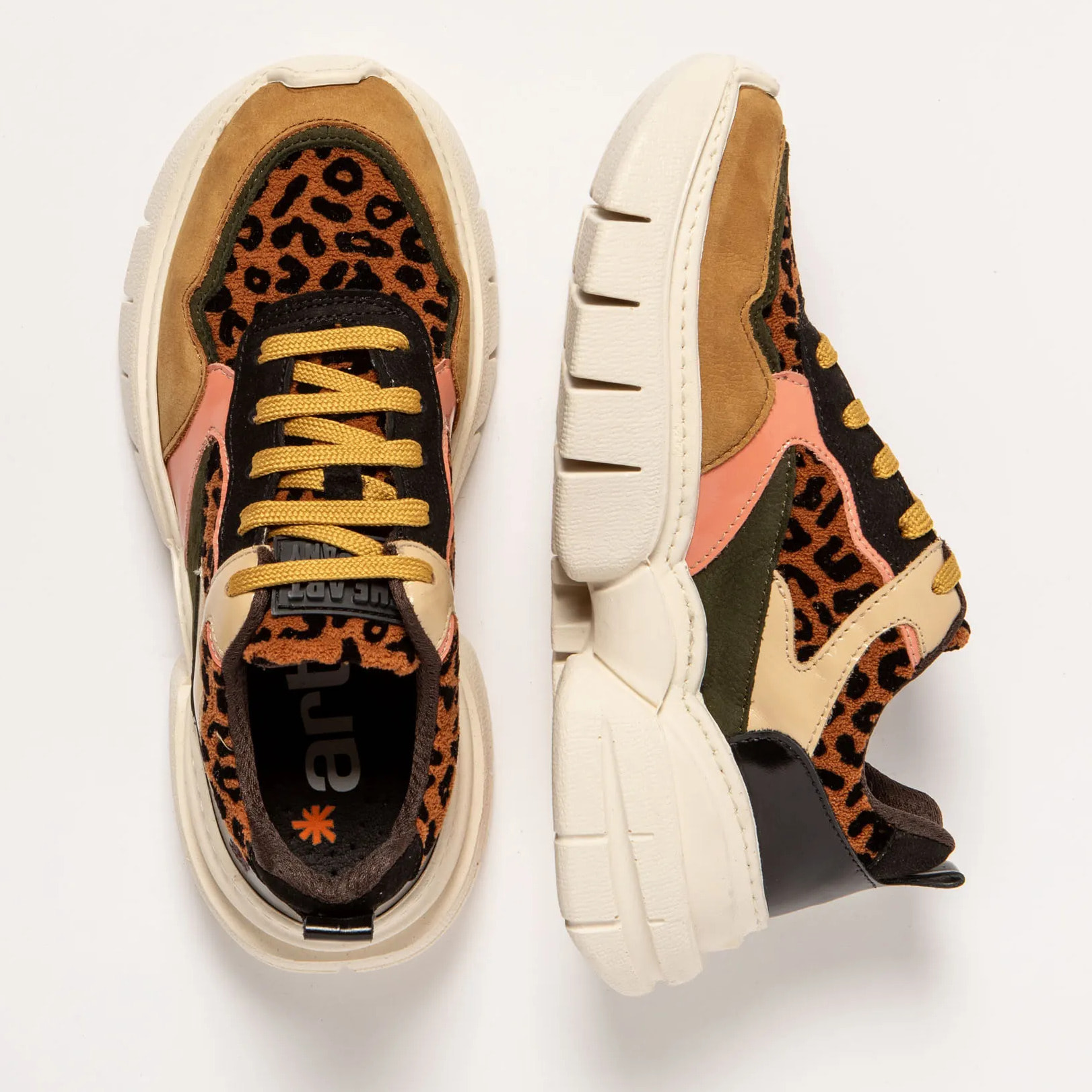 Zapatos 1635 MULTI JAGUAR / ATHENS color Multi jaguar