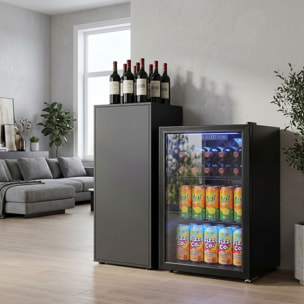 Frigorífico de Bebidas 70 L, Mini Nevera con Puerta de Vidrio Doble, Iluminación LED, 2 Estantes Ajustables, 2-18℃, para 70 Latas, Nevera Pequeña para Refrescos, Cerveza y Vino