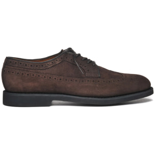 Sebago - Scarpe allacciate Uomo Marrone - Canton Suede