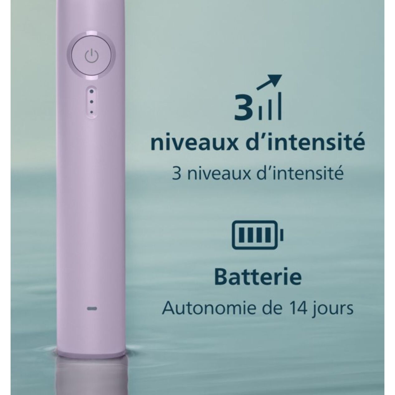 Brosse à dents électrique PHILIPS HX4033/27 Serie 3100 Lilas