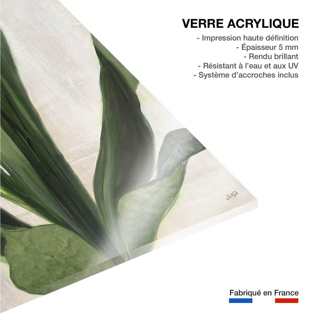 Tableau Sanseveria aquarelle Tableau plexiglas