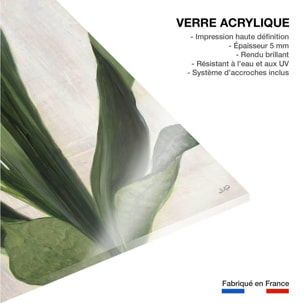 Tableau Sanseveria aquarelle Tableau plexiglas
