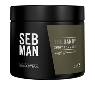 SEBASTIAN Seb Man The Dandy Pomade 75ml
