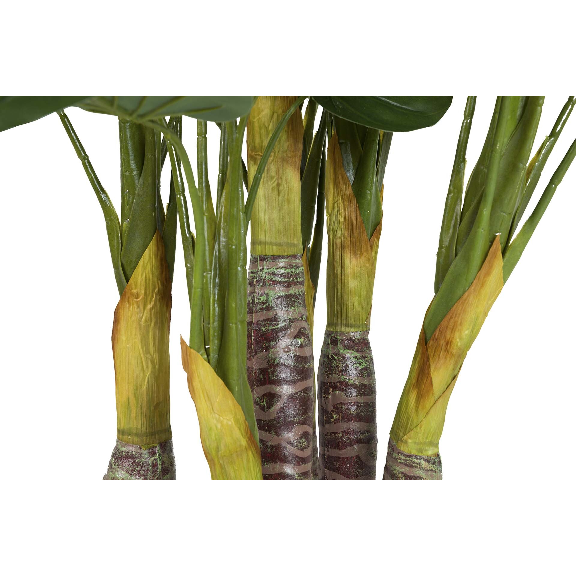 Planta Taro Con Maceta 55x55x125 Cm