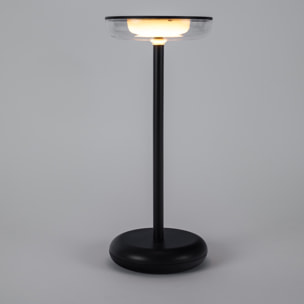 FORLIGHT Pomer Sobremesa exterior en negro con luz led blanco cálido 3000K