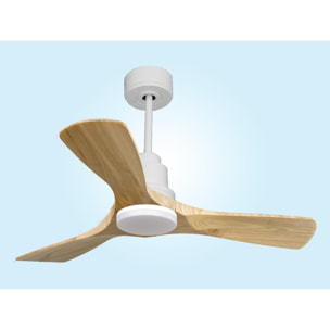 Ventilador de techo Modo Invierno/Verano Termostato Dimable Wifi Motor DC Techos Inclinados Mando a Distancia Luz tres tonos Hypersilence Memoria Vendible Shopify (AUTOMATICO) RarotongaD106C04LED64464 PURLINE