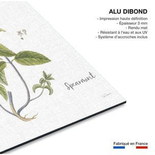 Tableau fleurs Menthe verte illustrée Tableau alu Dibond