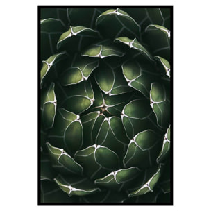 Affiche encadrée plante succulente graphique Affiche + cadre en métal - Noir
