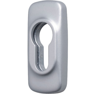 Rosace cylindre antivol 2100B FAPIM - Gris G6 - 2100B-G6