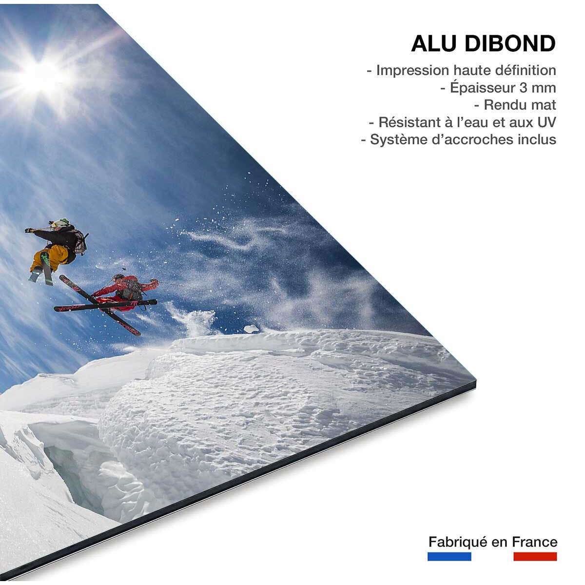 Tableau sport Jumping ski Tableau alu Dibond