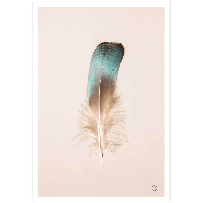 Affiche enfant plume bleue  Affiche seule