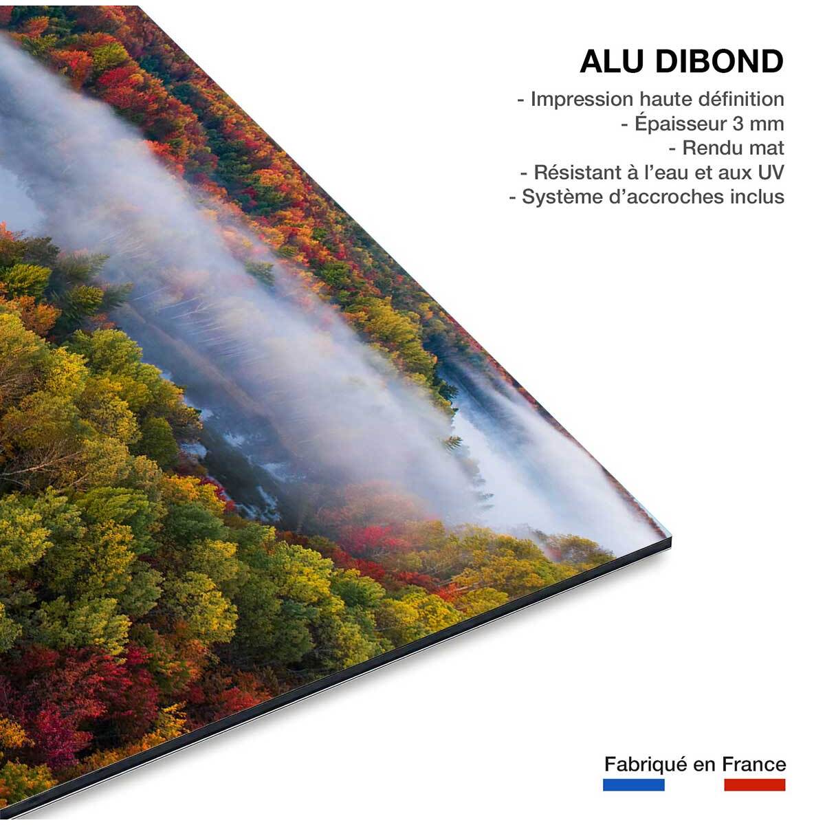 Tableau forêt et symphonie d'automne Tableau alu Dibond