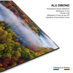 Tableau forêt et symphonie d'automne Tableau alu Dibond