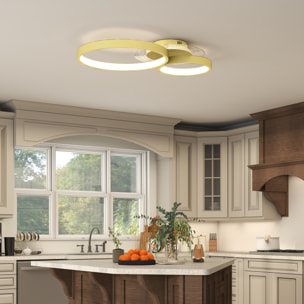 Lámpara de Techo LED 40W Plafón LED Techo Moderno 3000 K/4000 K/6500 K para Dormitorio Salón Cocina Comedor Dorado