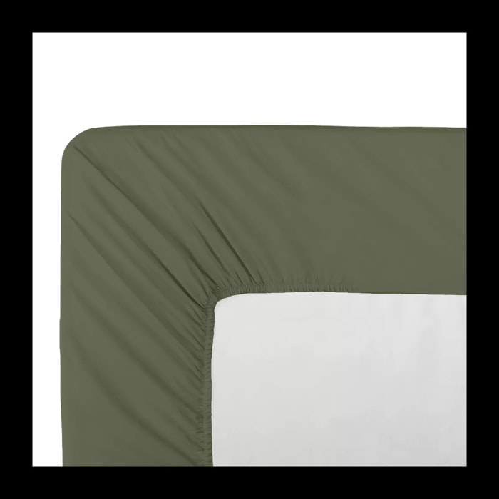 Drap housse b40 percale de coton uni vert La percale francaise kaki