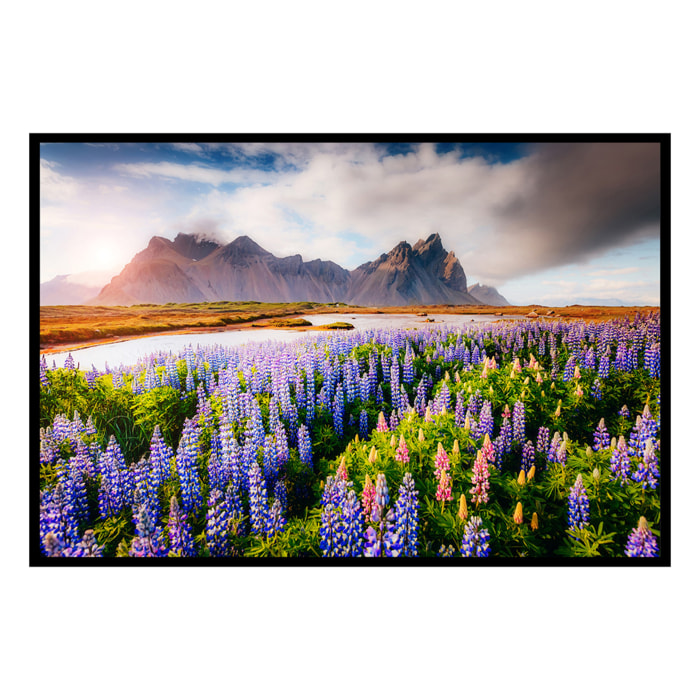 Affiche encadrée – Champ fleuri face aux montagnes Affiche + cadre en métal - Noir