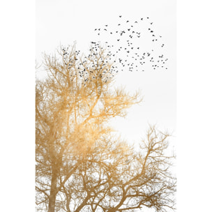 Tableau dessin Ciel d'or Tableau plexiglas