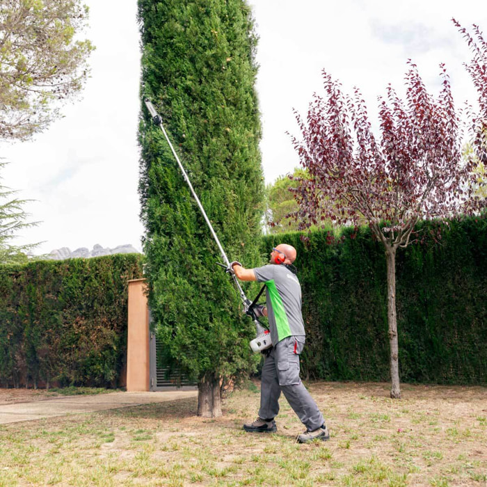 Podadora altura extensible de gasolina 65cc espada de 12" -  Greencut PP650X