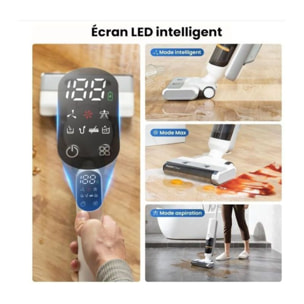 Aspirateur laveur ESSENTIELB ECFWVC100