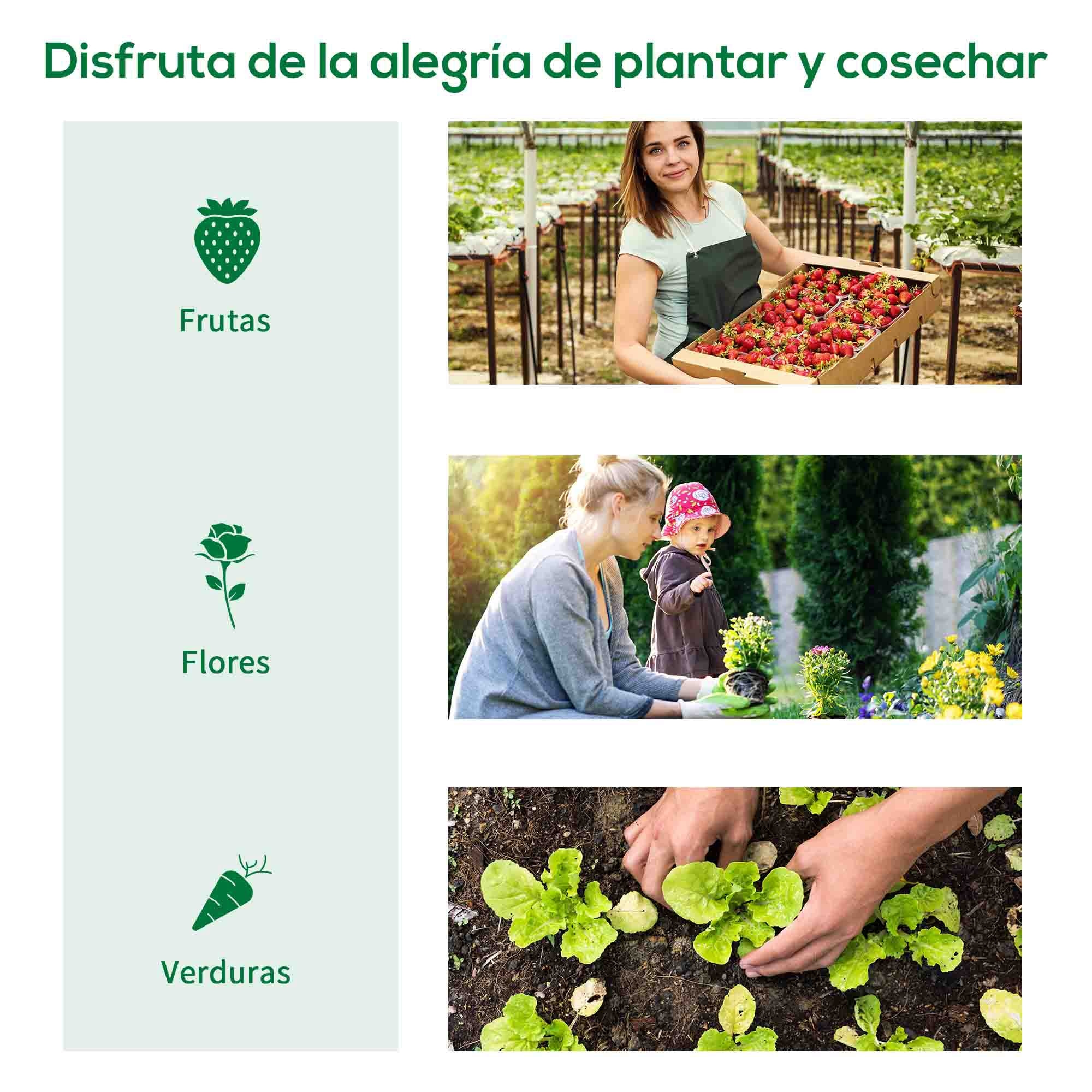 Invernadero de Exterior, Invernadero de Túnel con 2 Puertas Enrollables, 2 Ventanas de Malla, Cubierta PE 135g/m², Anti-UV, Marco de Acero, para Cultivos, Plantas, 180x180x200 cm, Verde