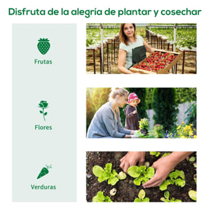 Invernadero de Exterior, Invernadero de Túnel con 2 Puertas Enrollables, 2 Ventanas de Malla, Cubierta PE 135g/m², Anti-UV, Marco de Acero, para Cultivos, Plantas, 180x180x200 cm, Verde